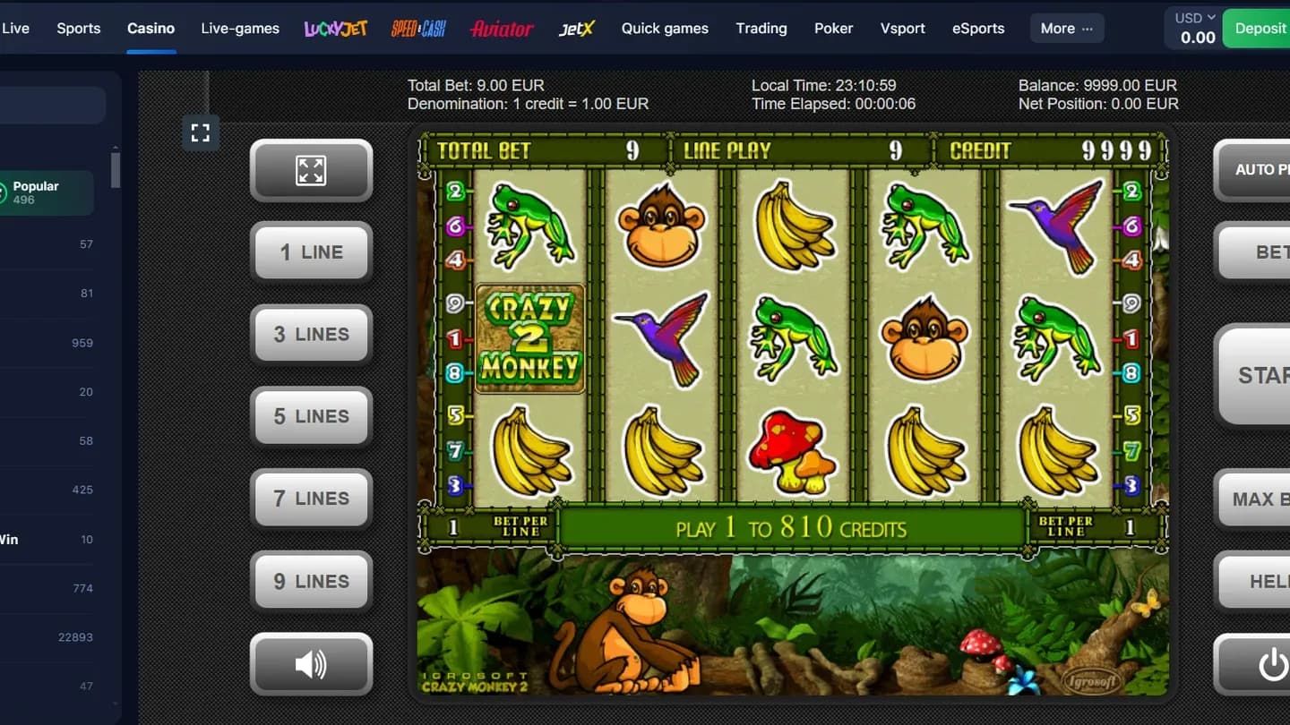 Crazy Monkey 2 slot
