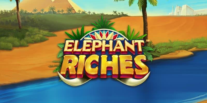 Elephant Riches 1Win